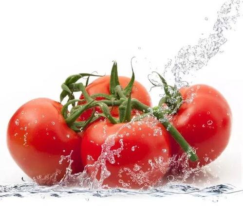 朝堂吃瓜番茄小说免费阅读  第3张